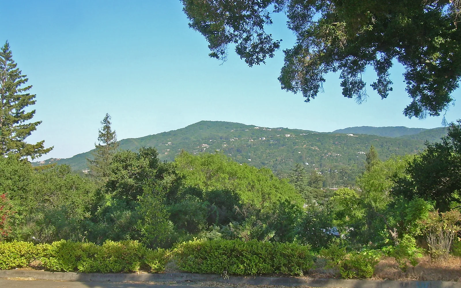 View of foothills and hills in Los Gatos, California, showing the natural landscape surrounding residential neighborhoods